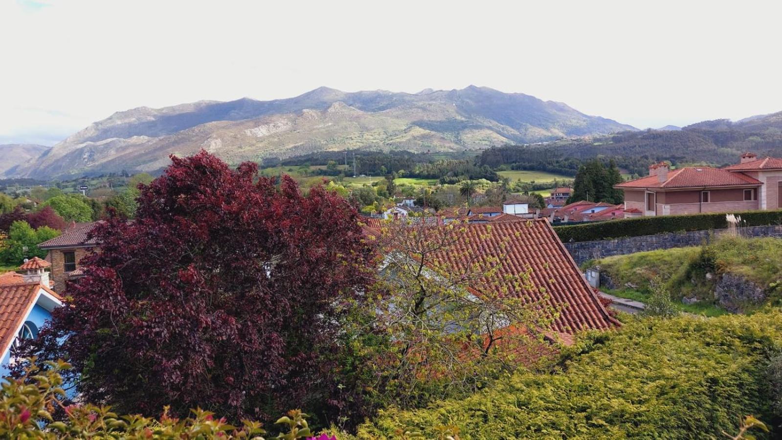 Villa La Cubillana à Colunga Extérieur photo